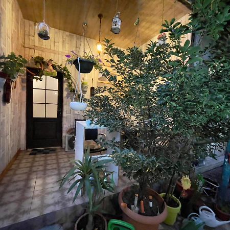 Mr Guest House 트빌리시 외부 사진