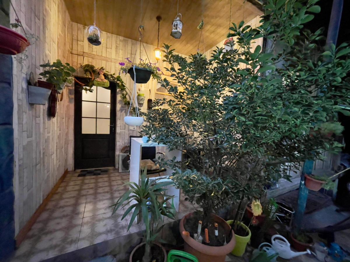 Mr Guest House 트빌리시 외부 사진
